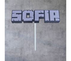 Meno v štýle Minecraft