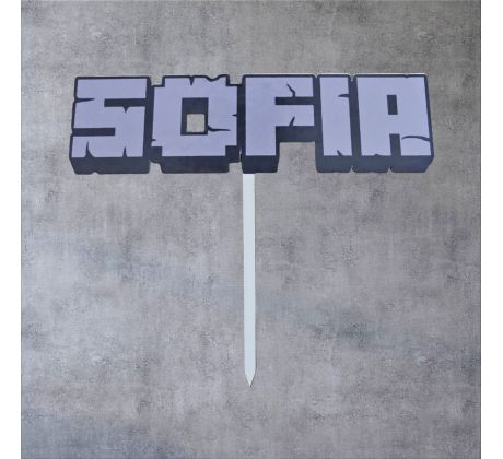 Meno v štýle Minecraft