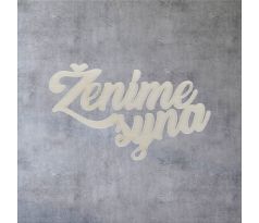 Ženíme syna 2
