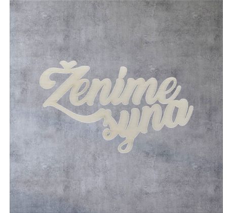 Ženíme syna 2