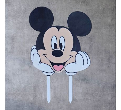 Mickey mouse