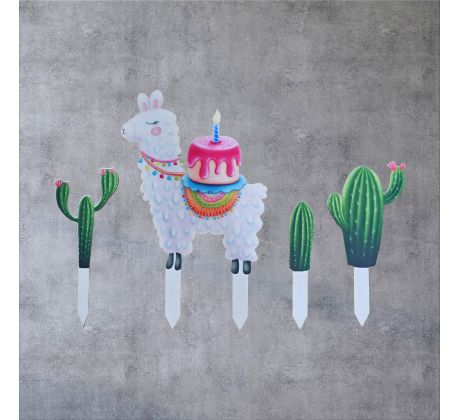 Lama - sada