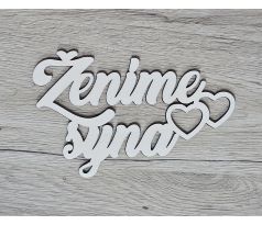 Ženíme syna
