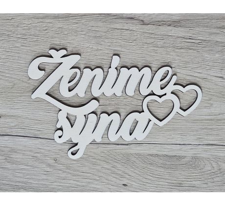 Ženíme syna