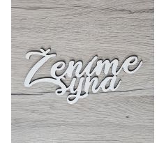 Ženíme syna 3