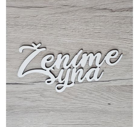 Ženíme syna 3