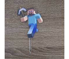 Minecraft postavička