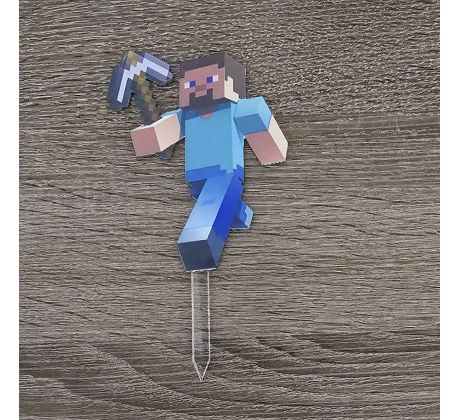 Minecraft postavička