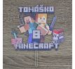 Minecraft s menom a vekorm