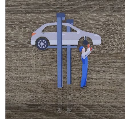 Automechanik s autom